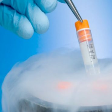Embriones viables o no viables, ¿es esta la cuestión?
