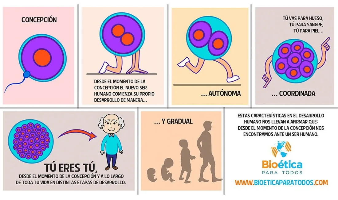 Infografía de Bioética Para Todos