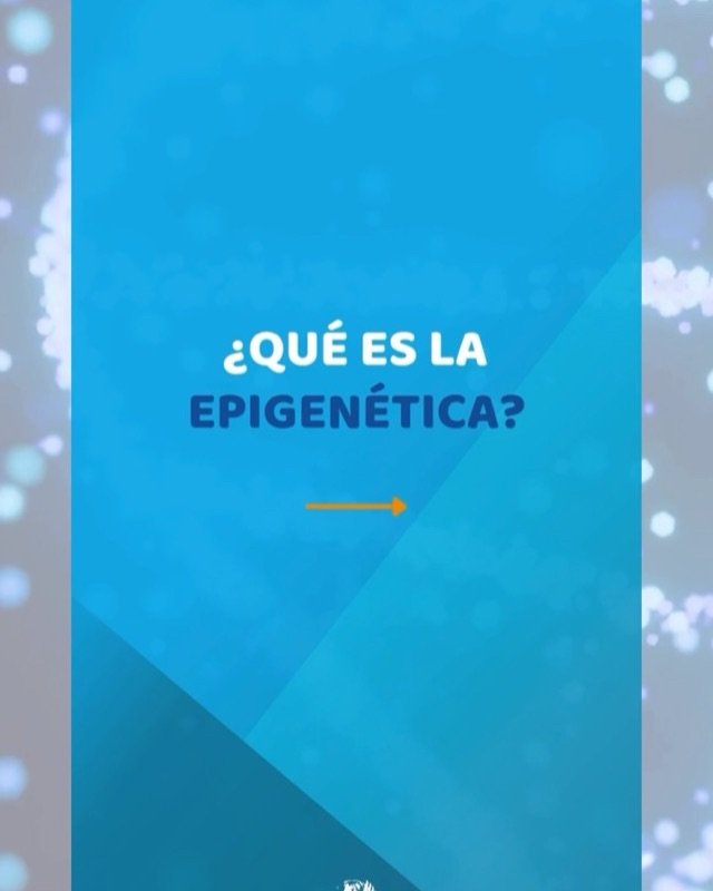 ¿Qué es la epigenética?