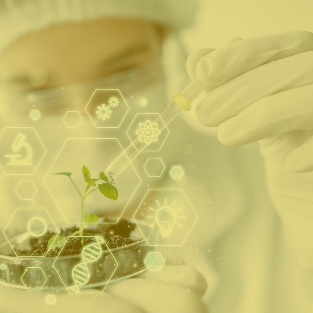 ¿Cuáles son los principios de la bioética?