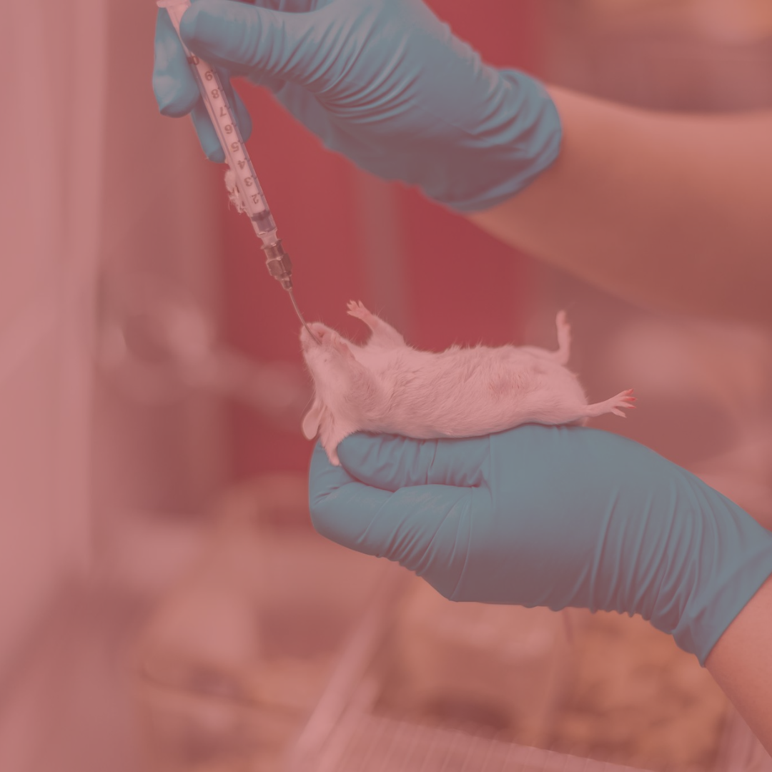¿Qué son las pruebas en animales en la industria cosmética?
